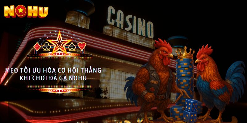đá gà nohu