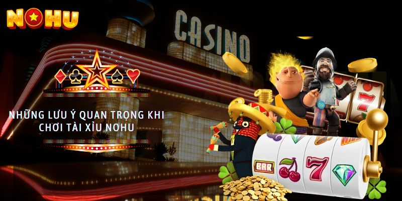tài xỉu nohu