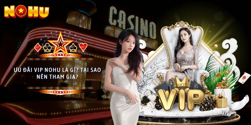 ưu đãi vip nohu