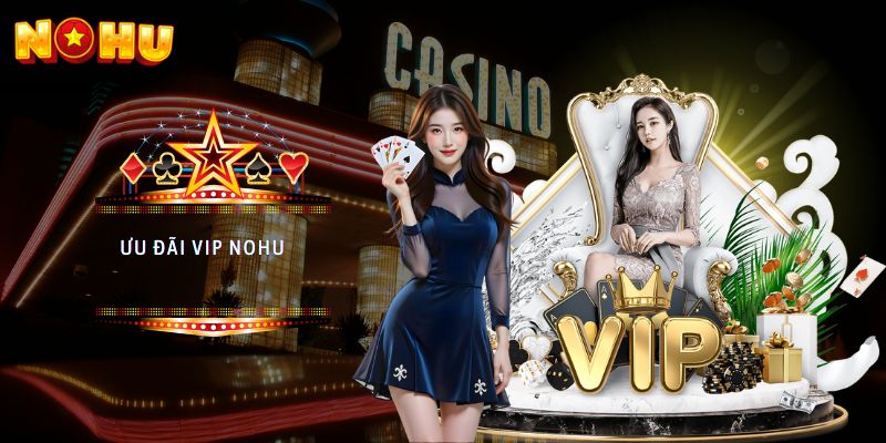 ưu đãi vip nohu
